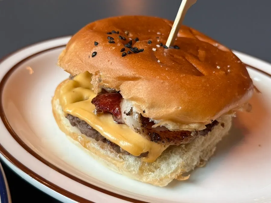 Two burgers and onion rings served together