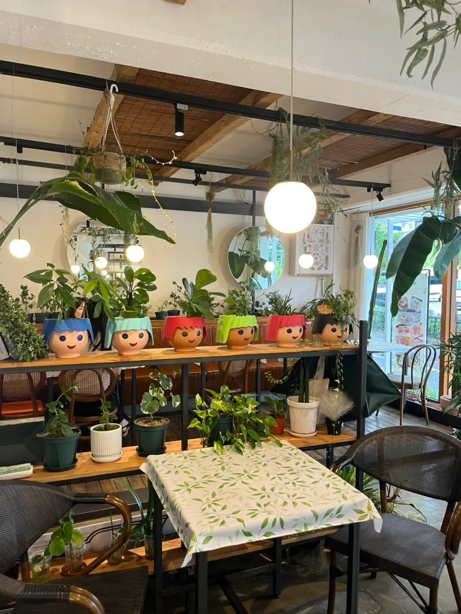 Café interior with potted plants and cute knickknacks