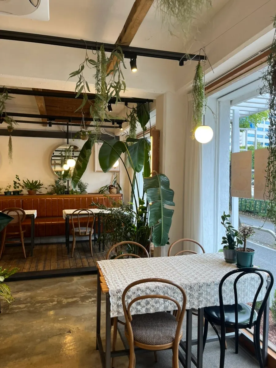 Seat with green plants and a view out the window