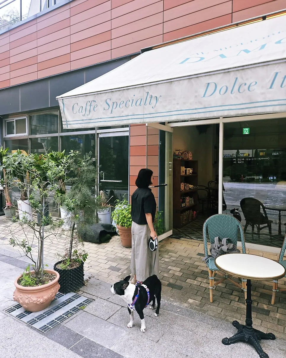 Outdoor seating and a dog at Damgeum Gelato Misa Branch