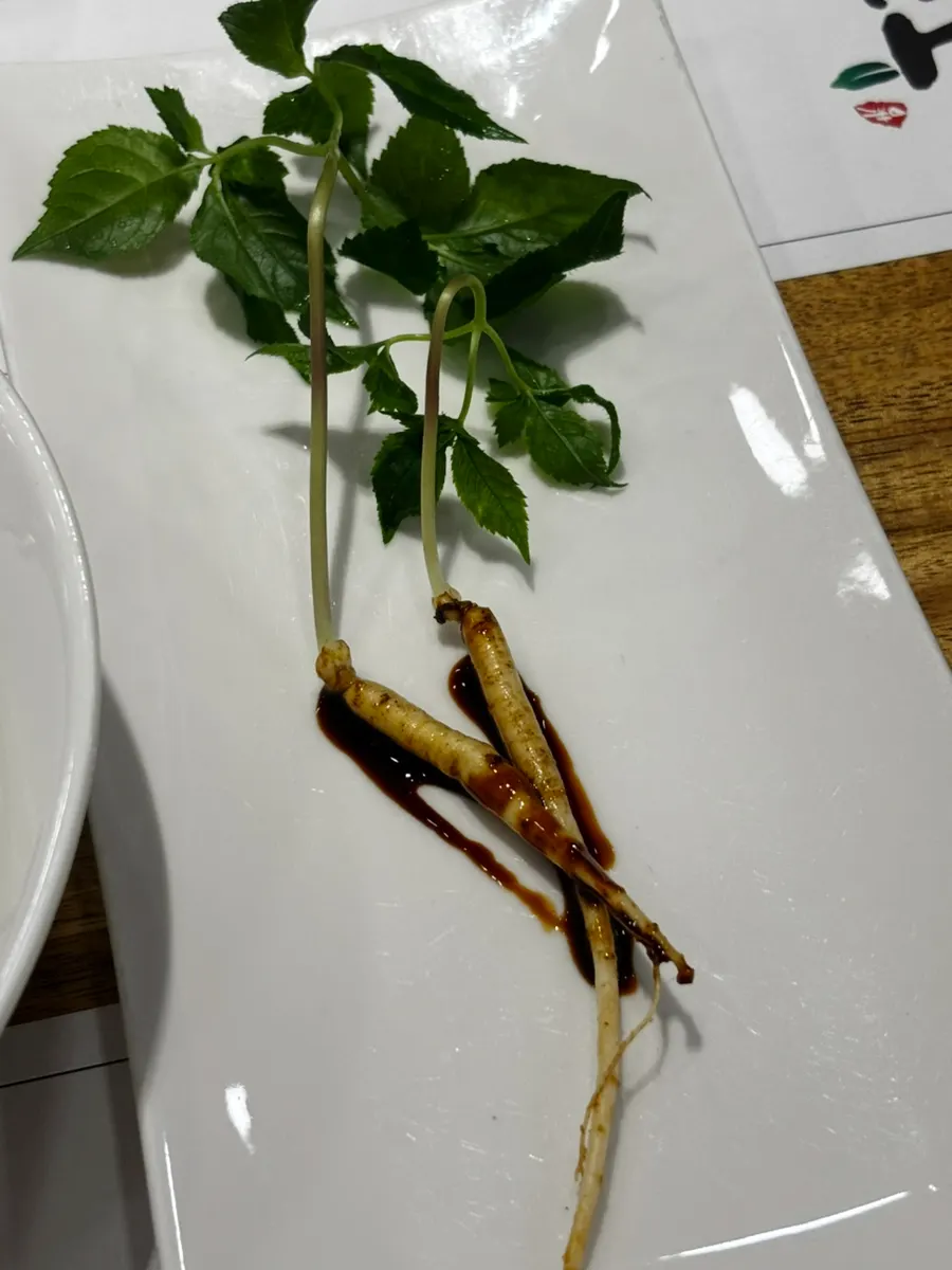 다밀 코스의 시저샐러드