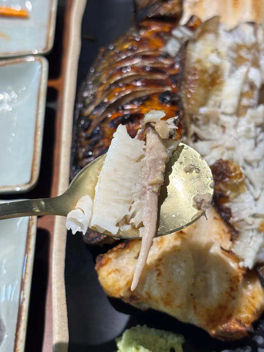 Golden grilled mackerel