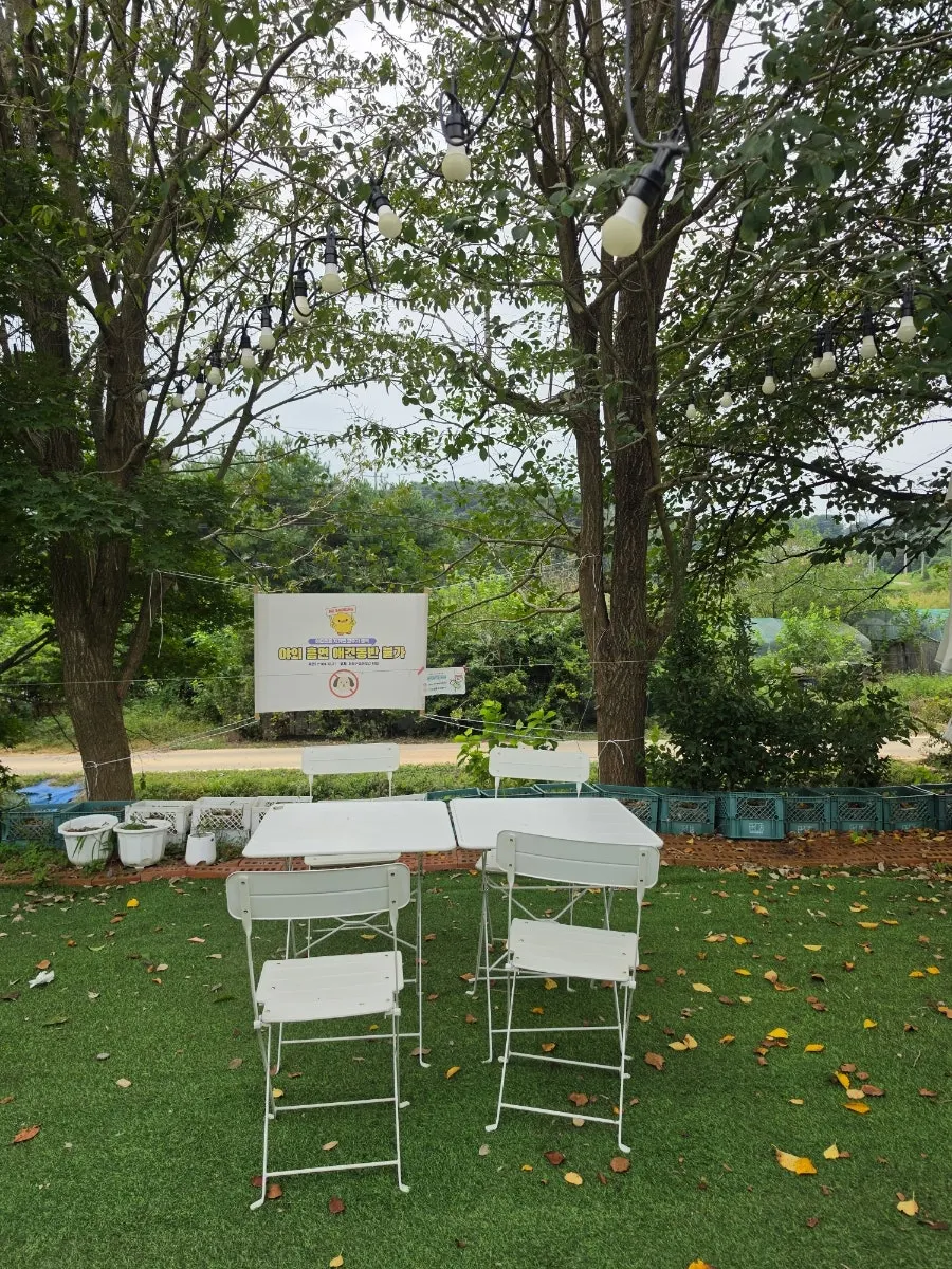 Outdoor garden seating at MIMI Coffee Mill