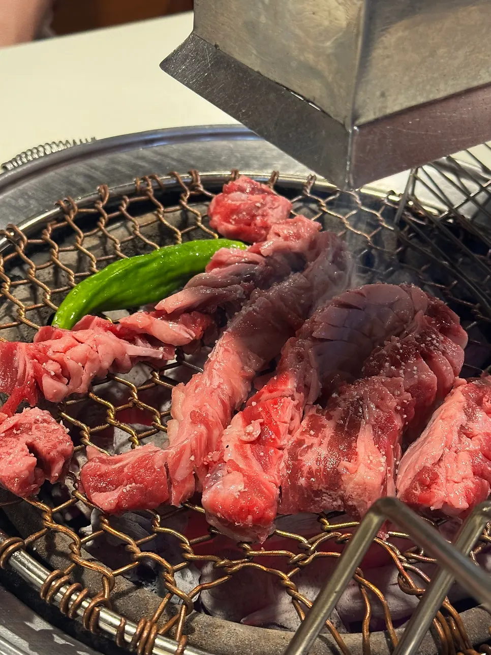Parrilla con el galbisal colocado por el personal