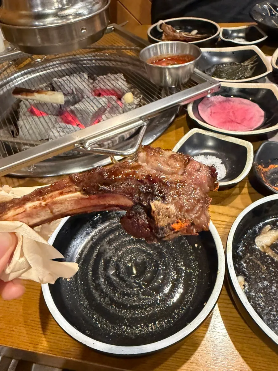 用手拿著啃的羊肋排骨部位