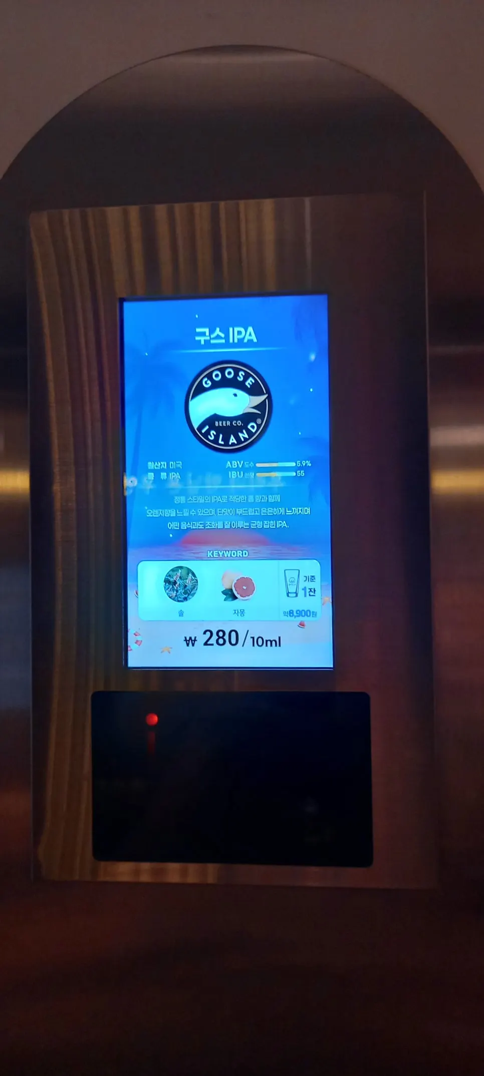 Choosing beer in front of the taps