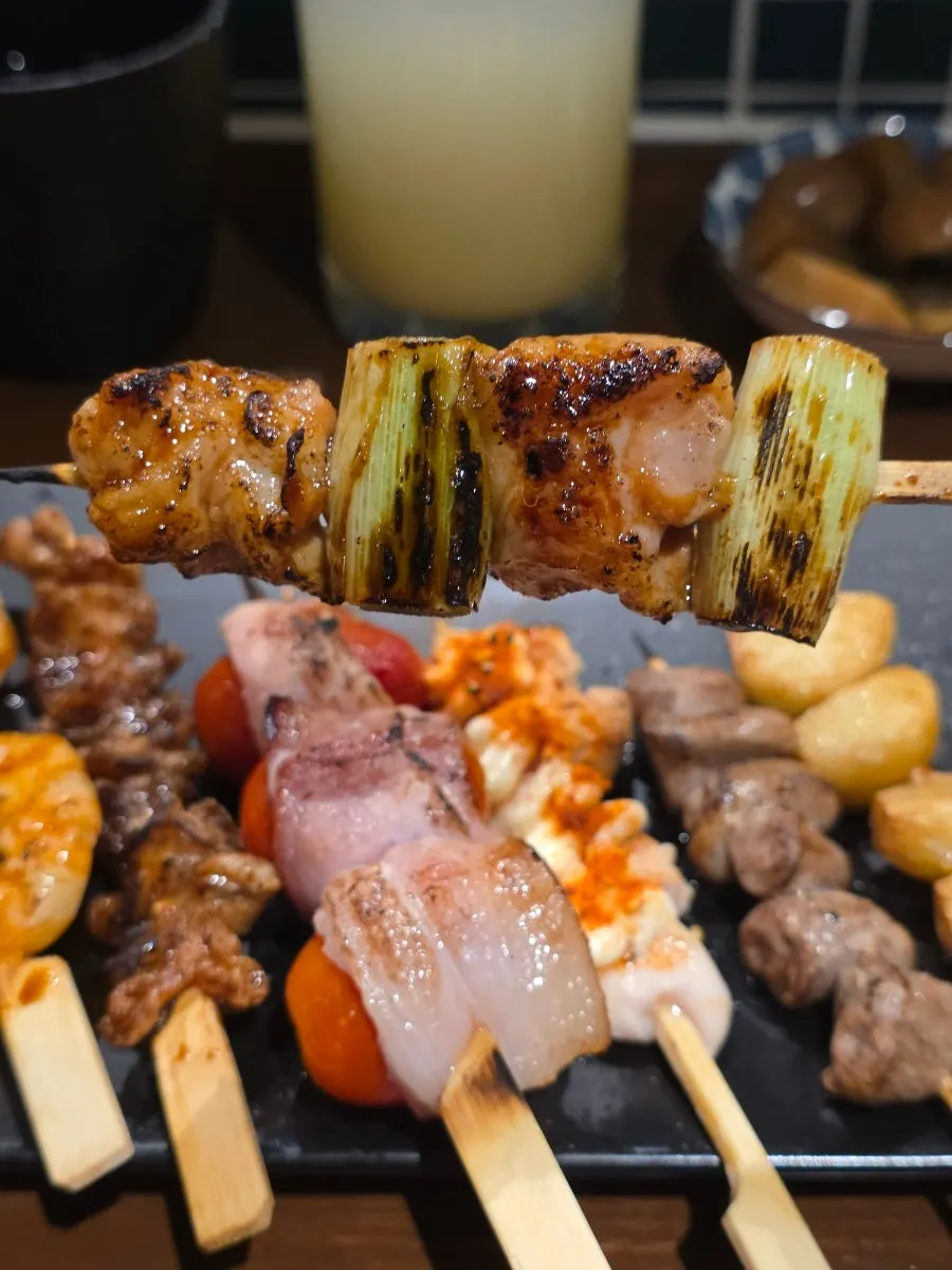 닭고기와 대파 꼬치
