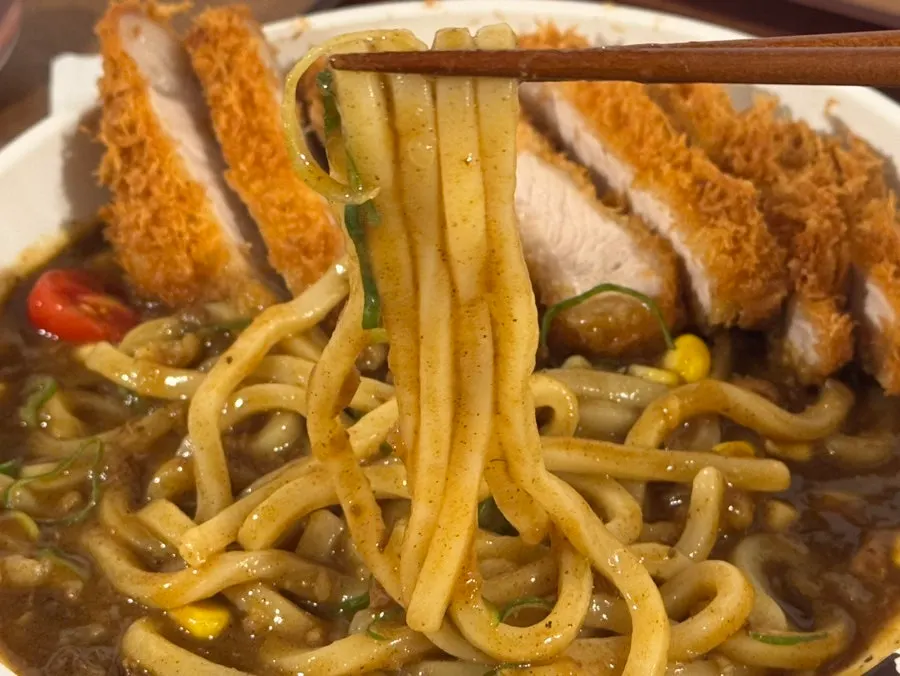 토핑을 올린 카레우동