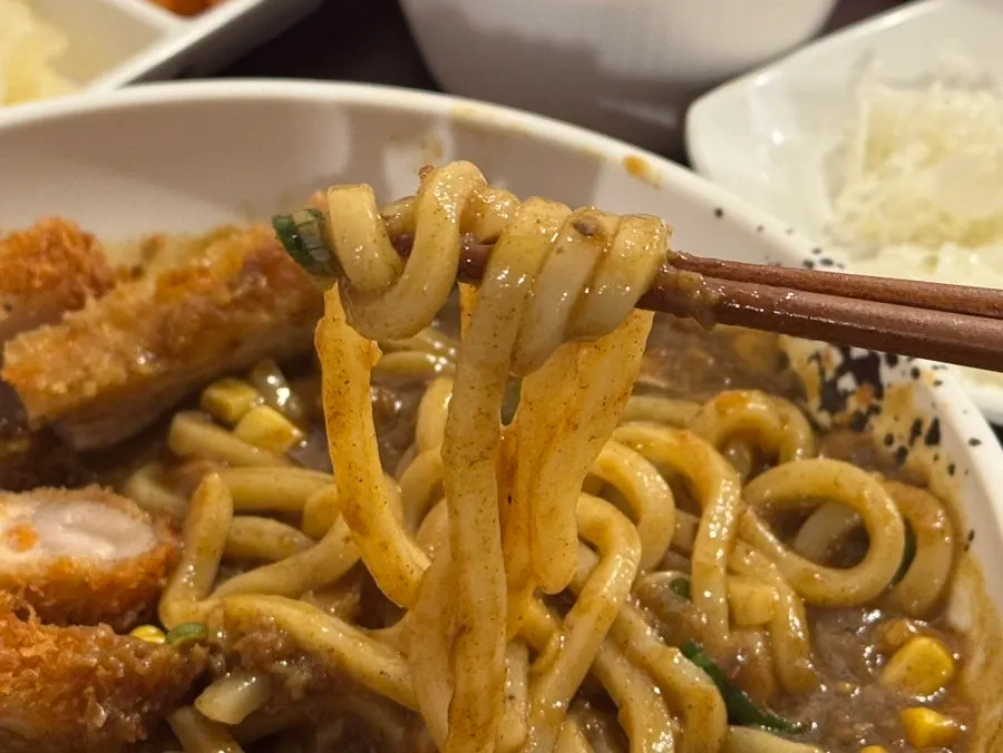 카레 소스에 섞은 우동면