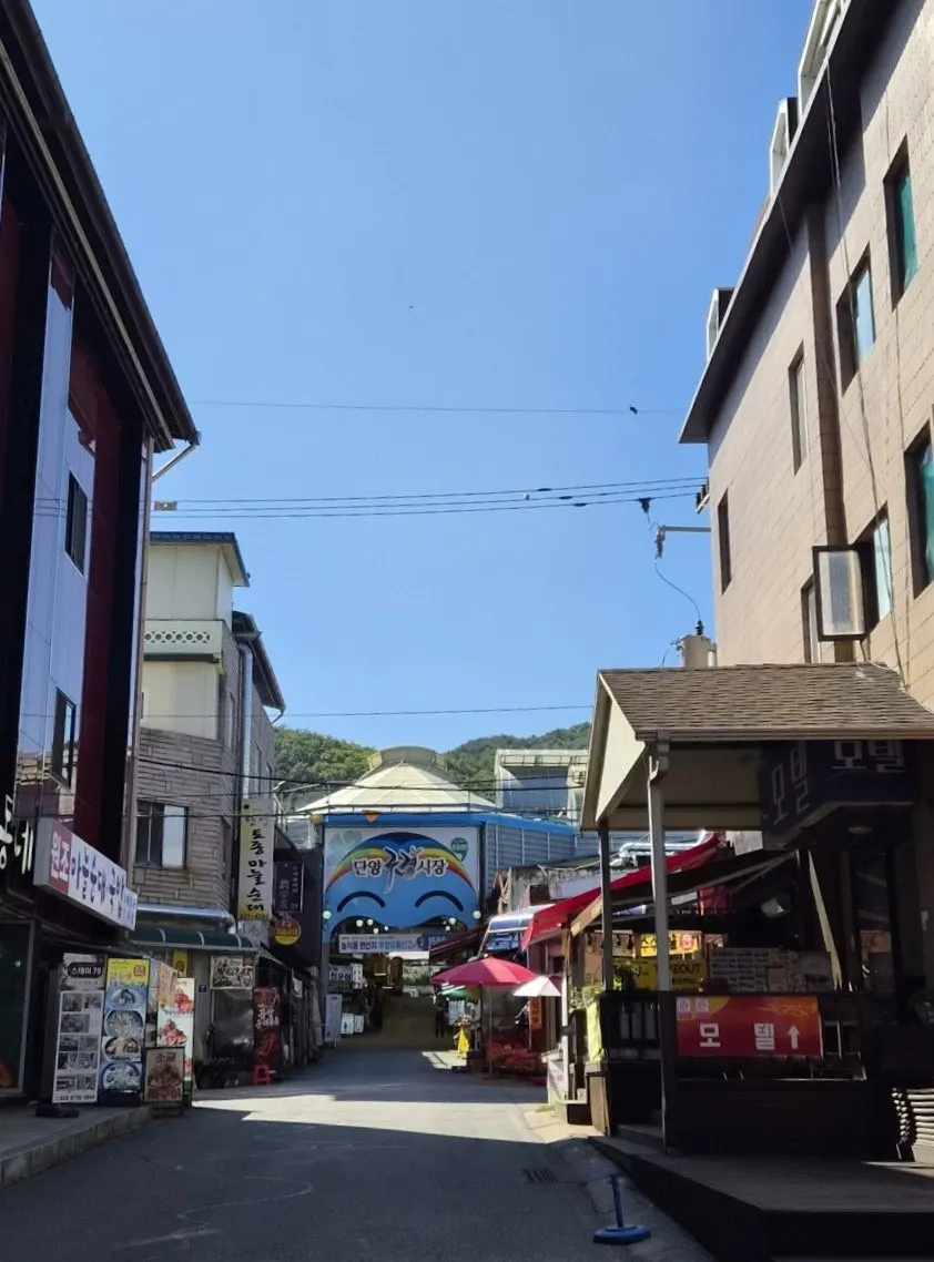 단양 구경시장에 도착한 길