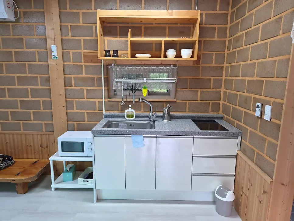 Sink and induction cooktop in the room's kitchen area