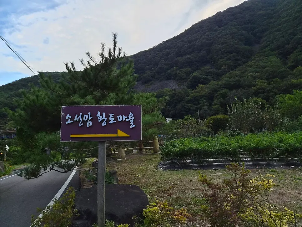 Room and surrounding scenery at Soseonam Hwangto Village Guesthouse