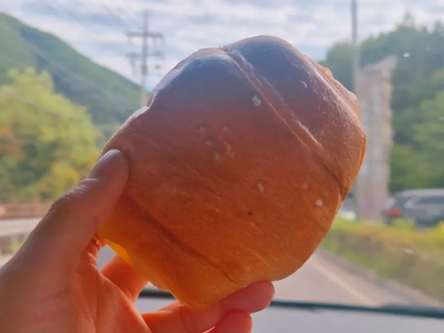 Cross-section of a bitten salt bread