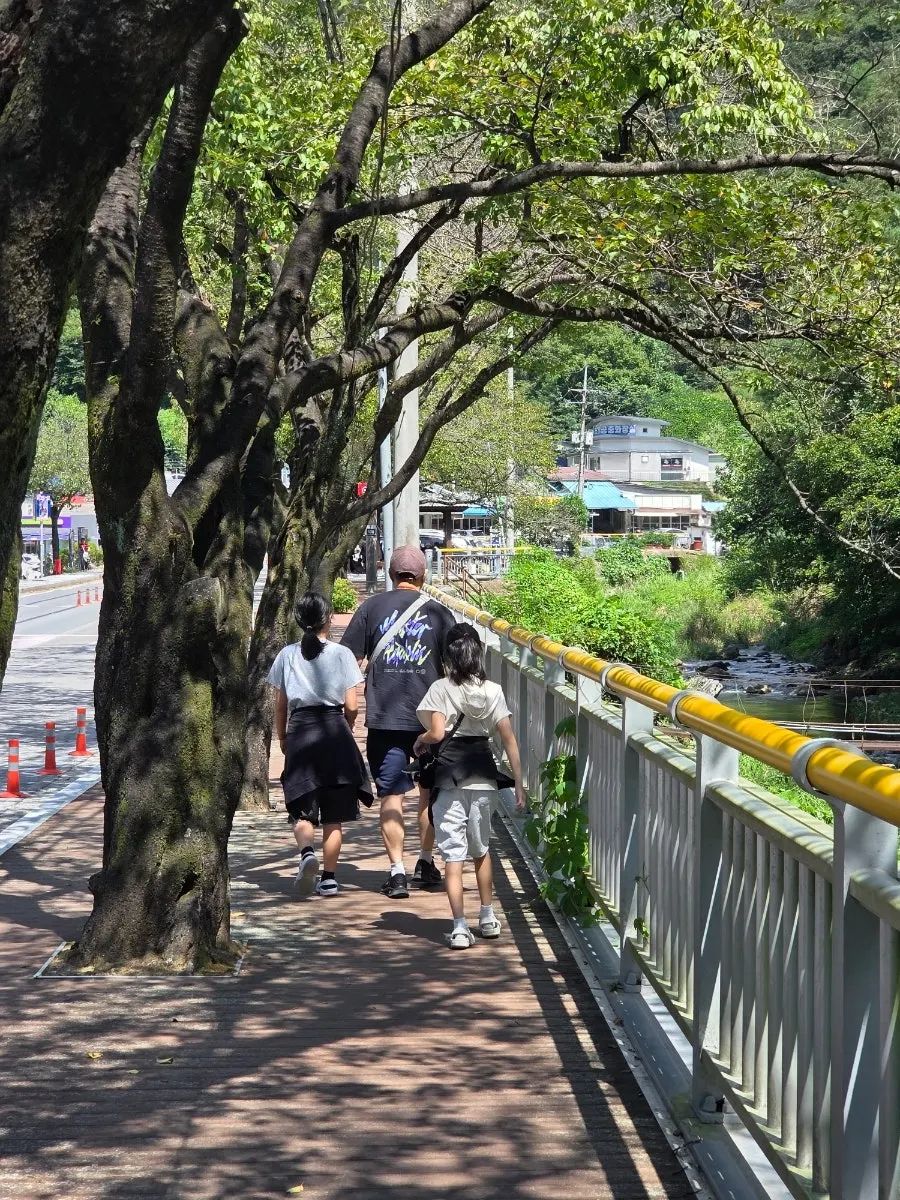 Photo related to dakgangjeong during a Danyang trip