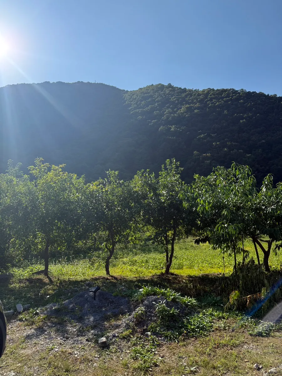 Mountain scenery viewed from Soseonam Hwangto Village Pension