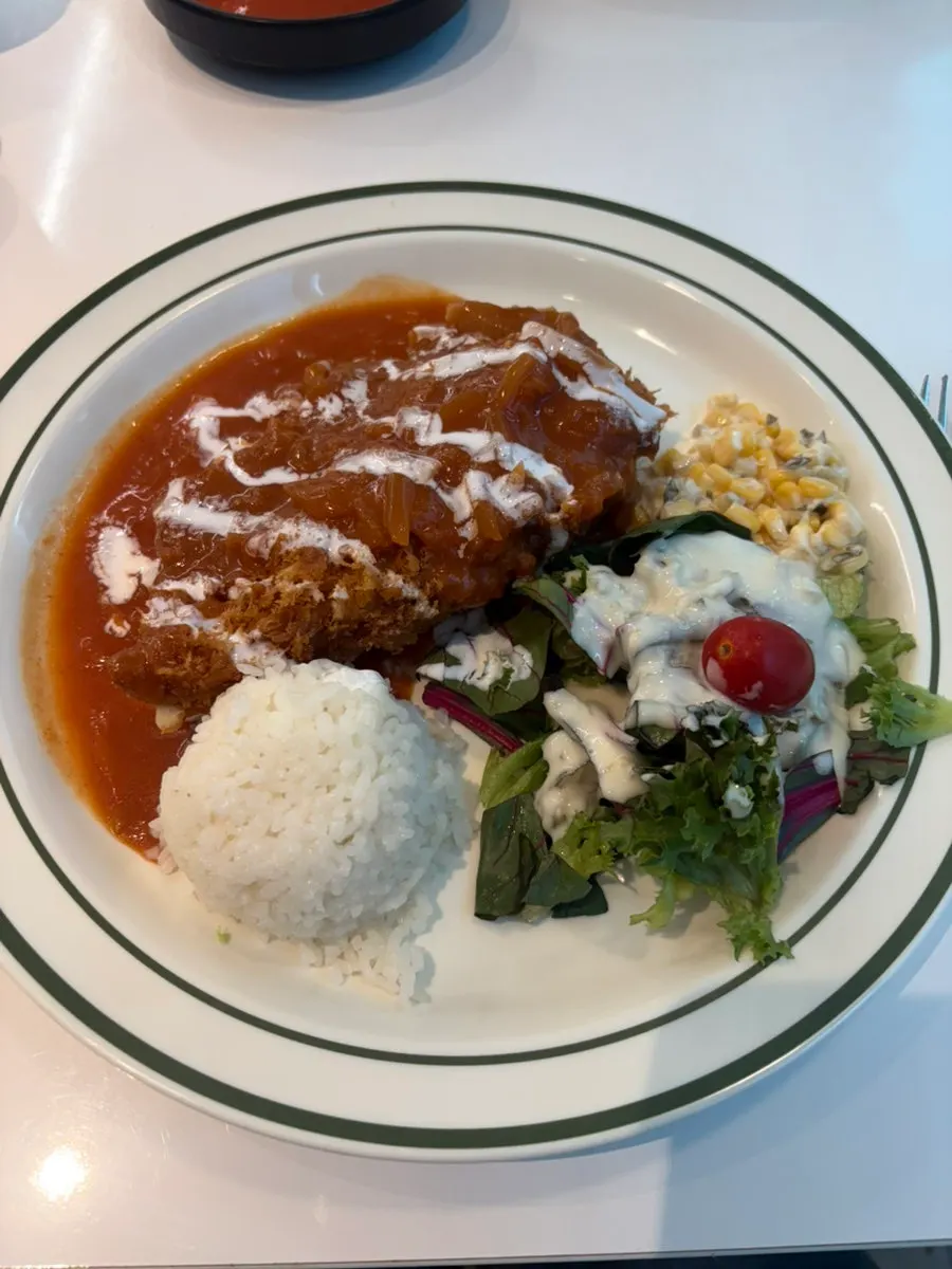 Tteudon chicken cutlet filling a large plate