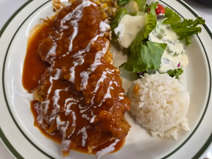 Plate of cutlet served with European-style salad