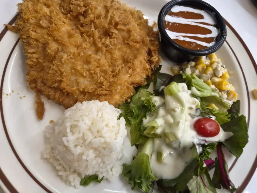Generous pork cutlet spread at Tteudon Magok Branch