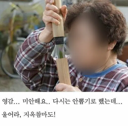 모닝빵에 돈가스와 샐러드를 넣은 수제 돈버거