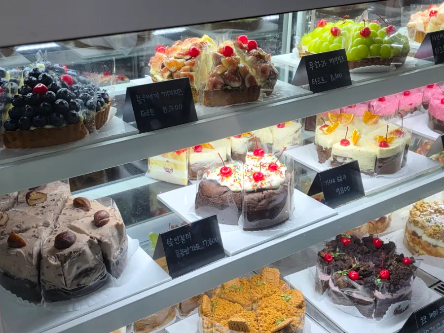 Dessert showcase with dense gâteaux