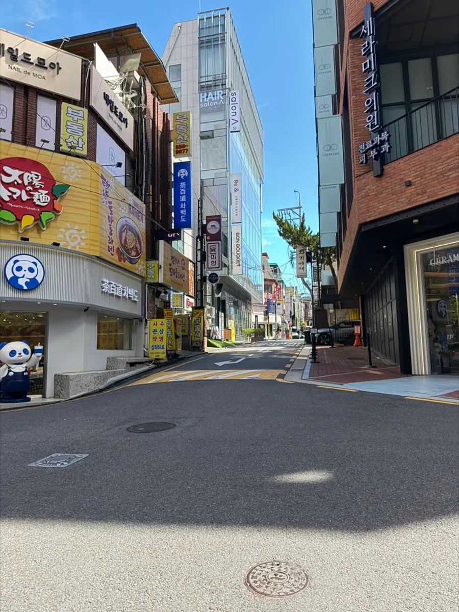 강남역 브런치 더미뇽 서울 방문 사진