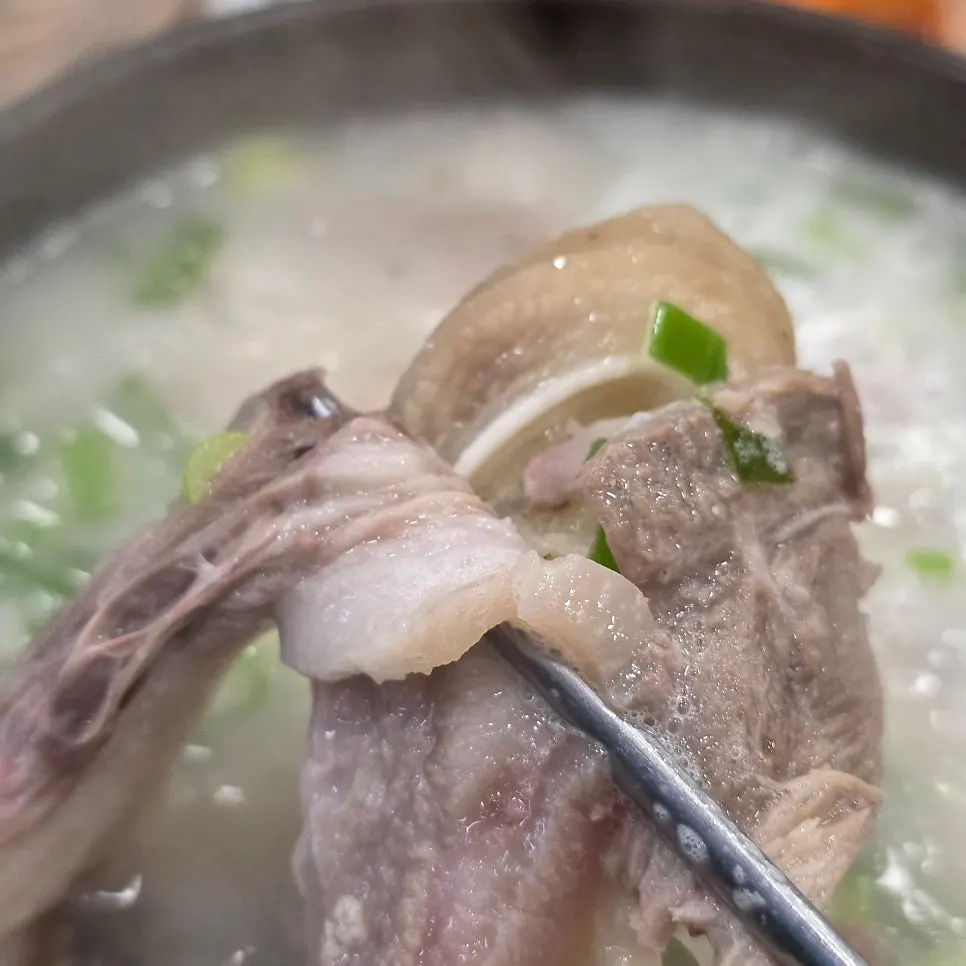 살코기와 젤라틴 마블링이 보이는 편육 단면