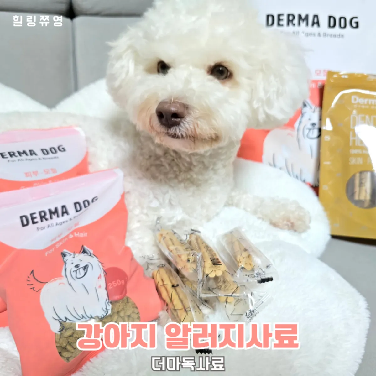 Hamong, a companion dog with skin troubles