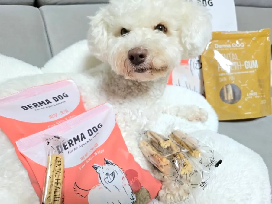 Record of feeding Dermadog food and dental chews