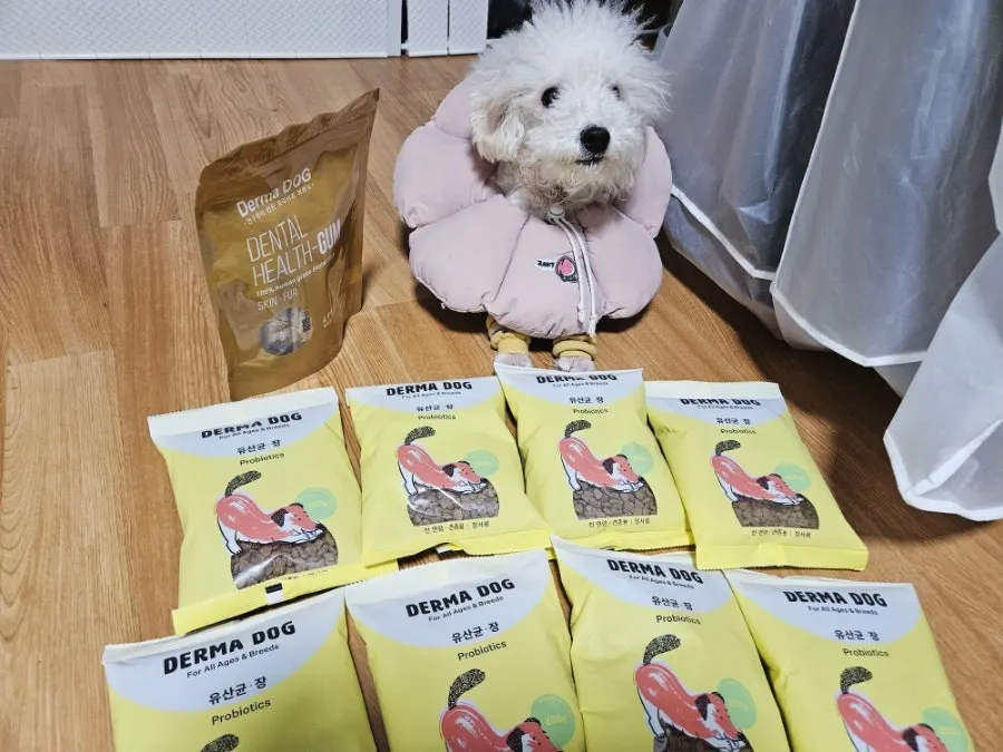 Free dental health chew set and feeding guide