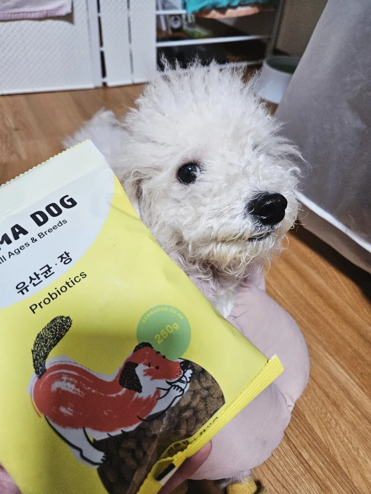 Probiotic dog food product set