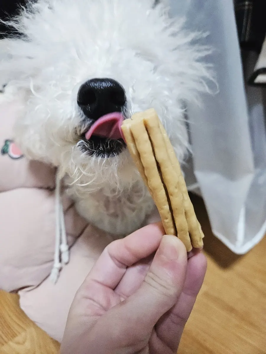 Feeding Dermadog probiotic food