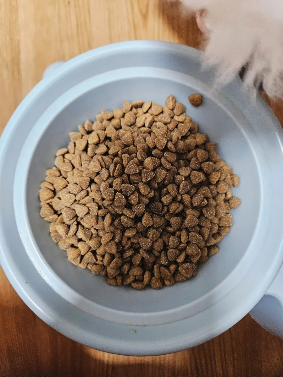 Screw-bar-shaped dental chew