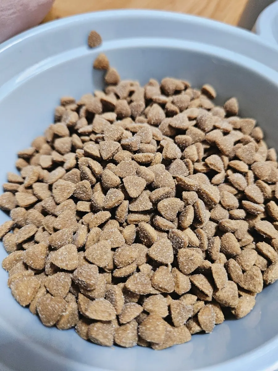 Soft dental chew that can be separated lengthwise