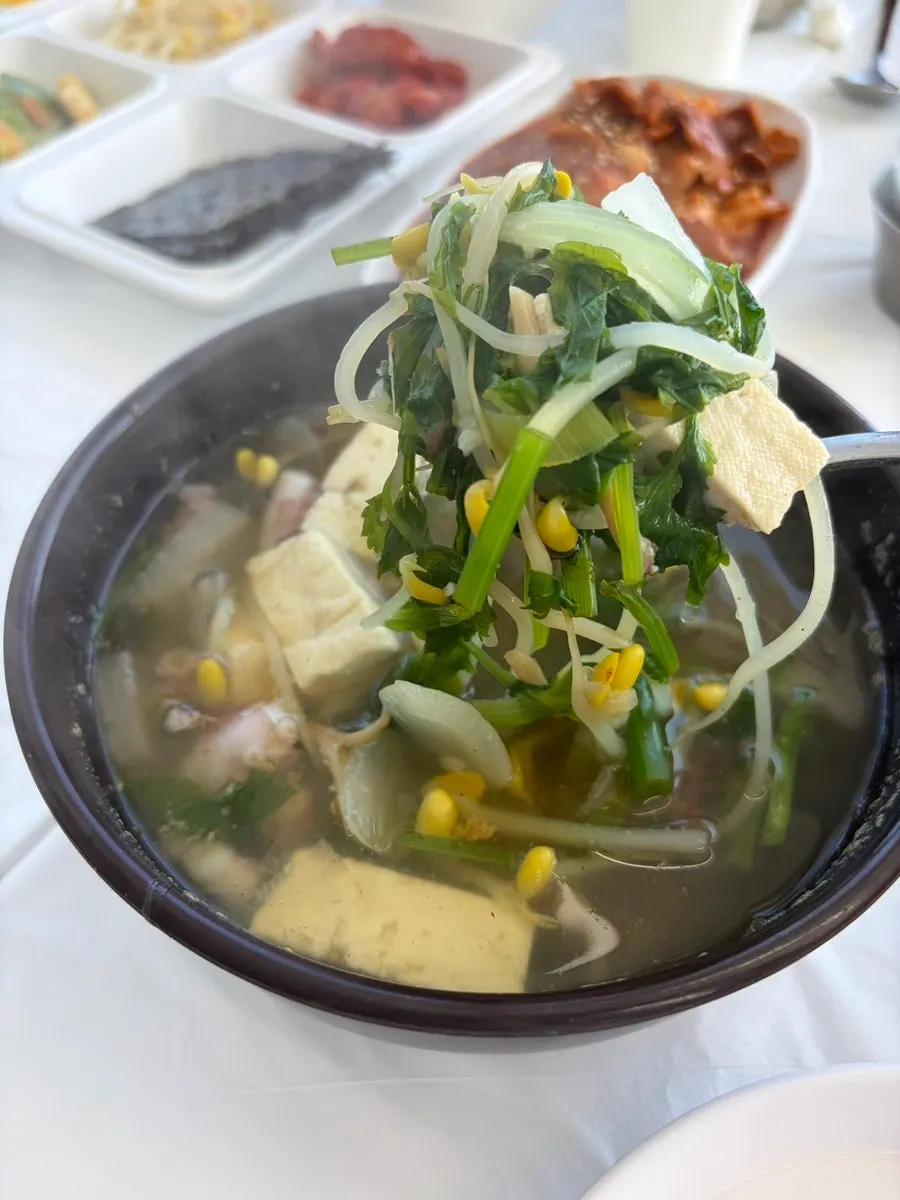 Chewy octopus lifted out of the broth