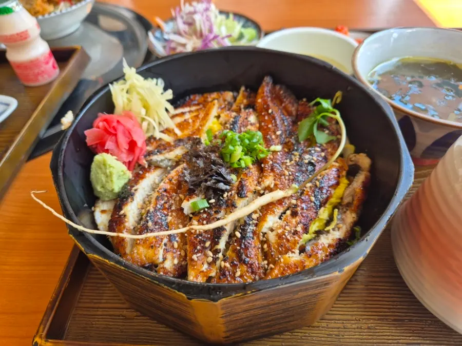 Golden-brown eel packed edge-to-edge on top of the rice