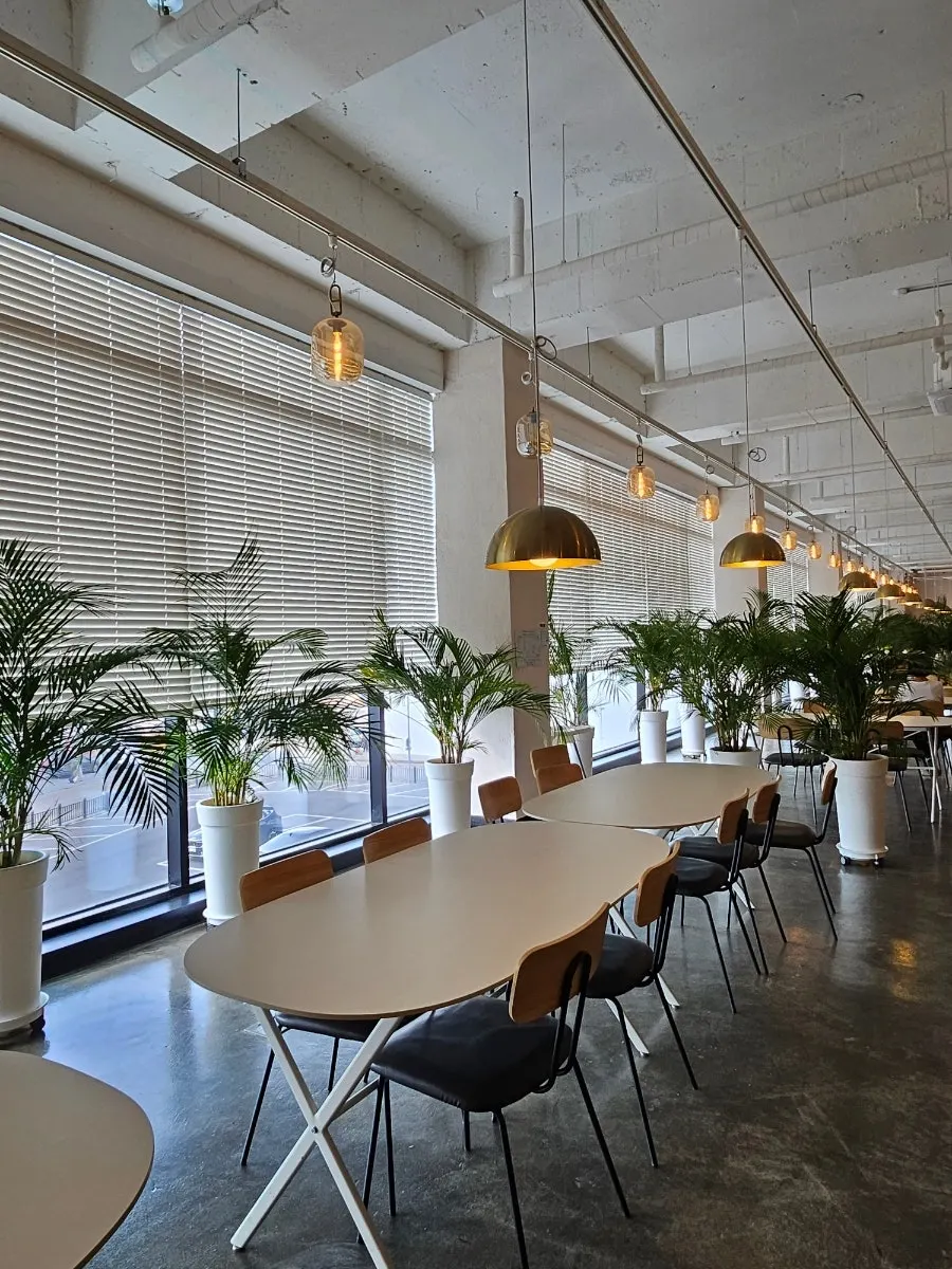 Window seating area at Doasis