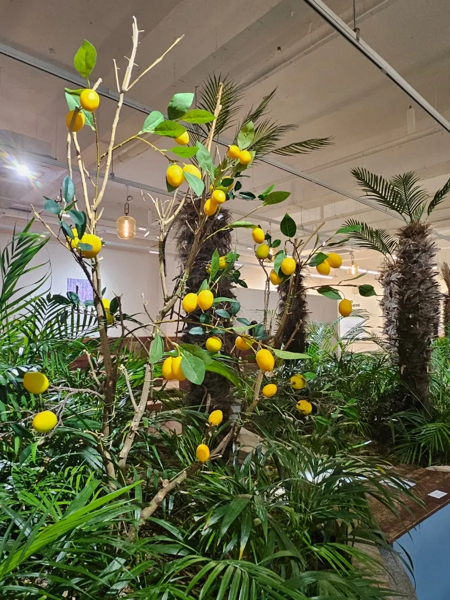 The interior of Doasis filled with palm trees brought from Jeju