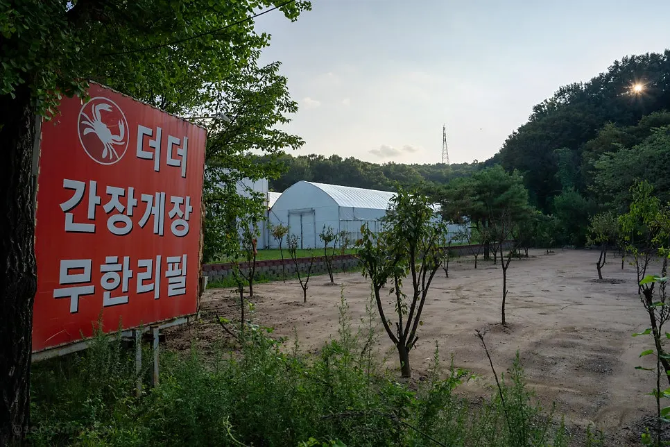나무가 심어져 재정비 중인 더더간장게장 주차장