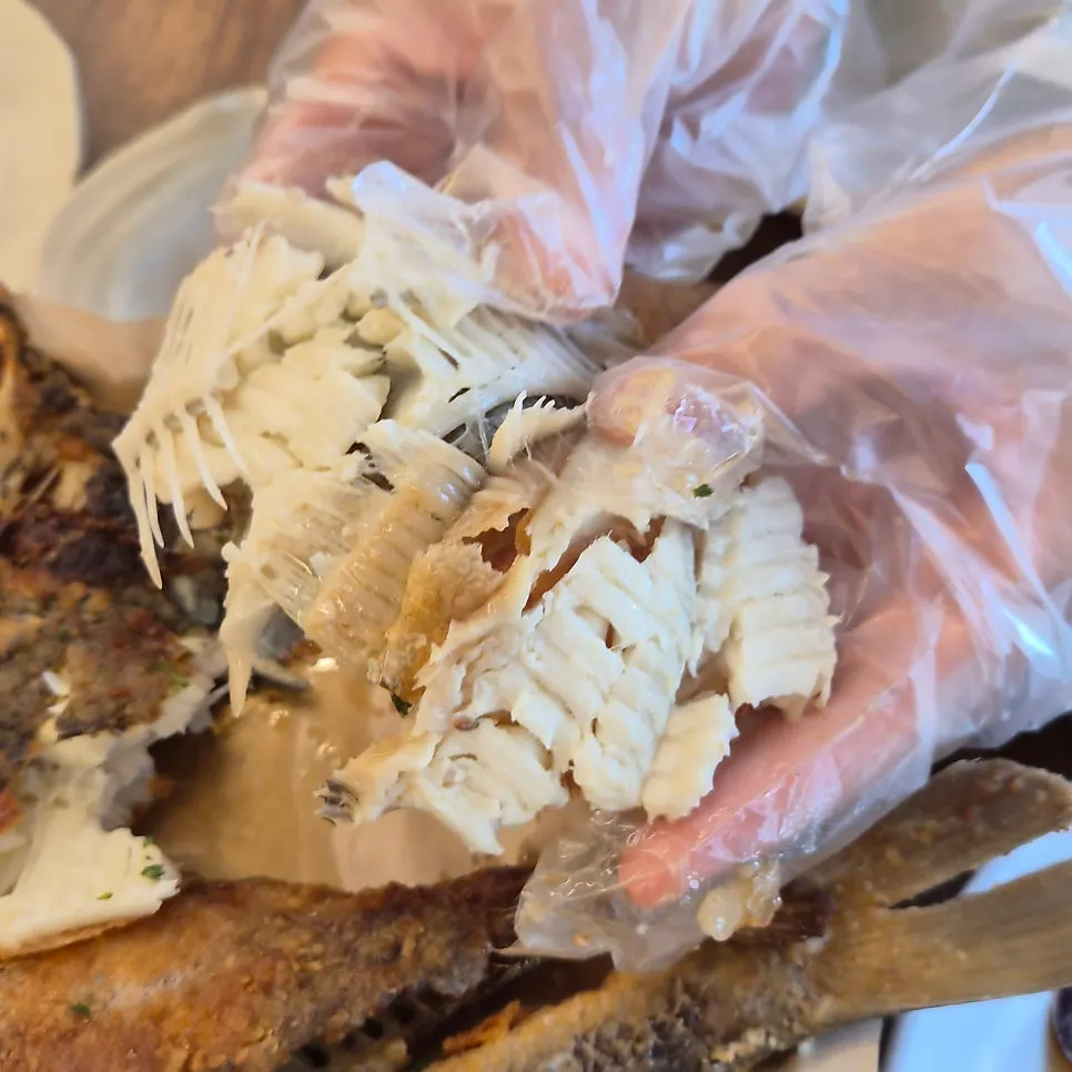 Yellow crab taken apart with plastic gloves on