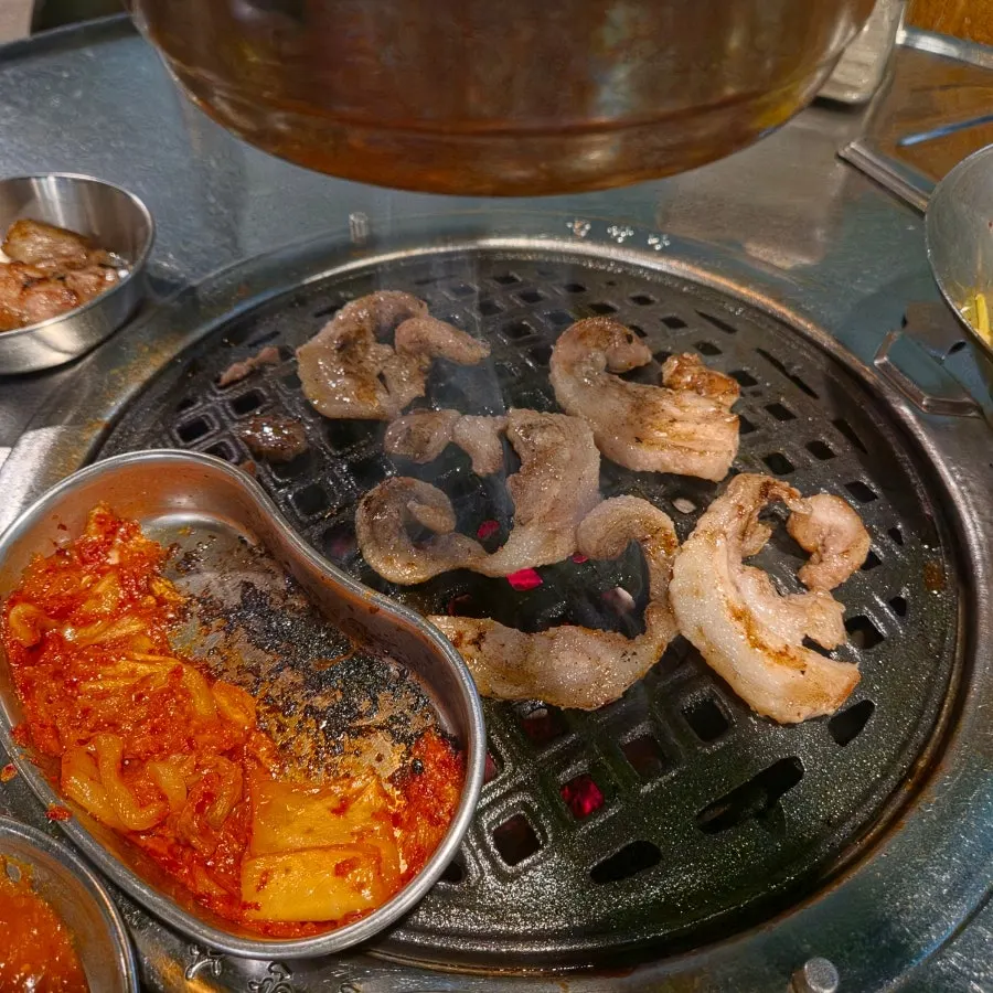 Close-up of grilled bolhangjeong cut
