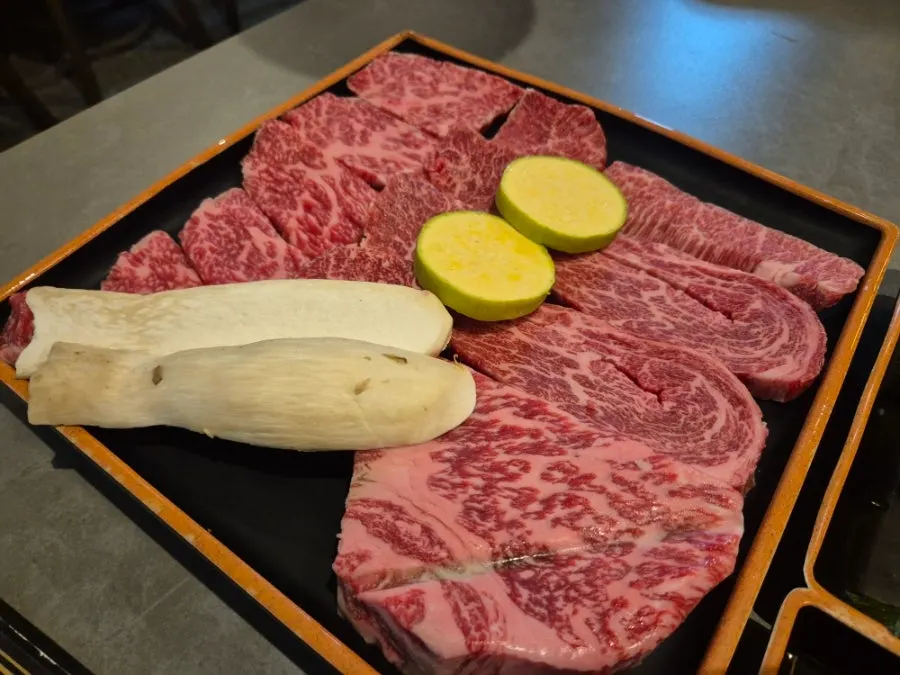Plate of assorted hanwoo cuts showing marbling