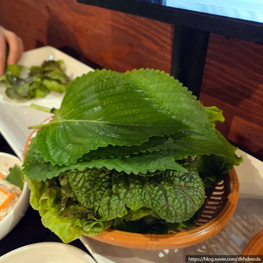 Refilled plate of wrap vegetables