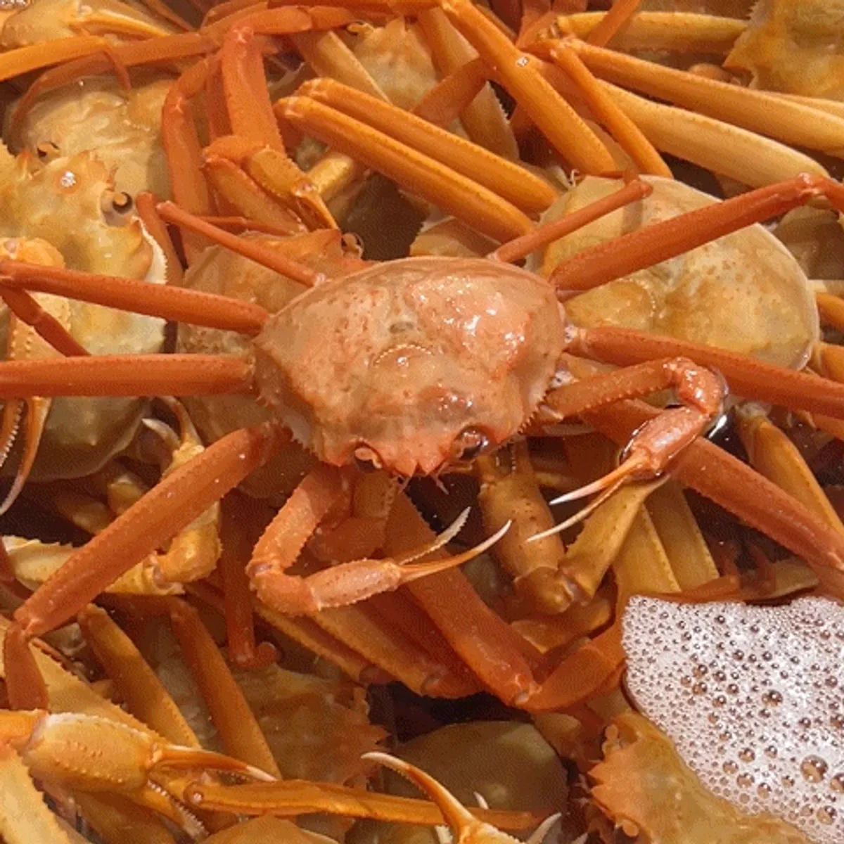 Visit photo of Dongnam Hoe Sikdang at Jukdo Market, Pohang