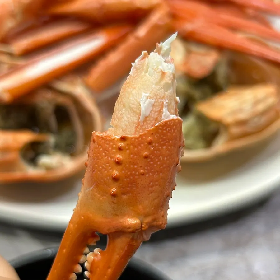 Red crab claw packed with meat
