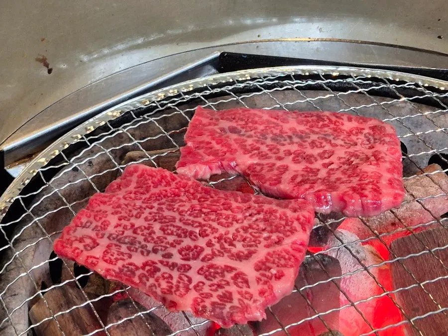 숯불에 구운 한우 살치살 한 점