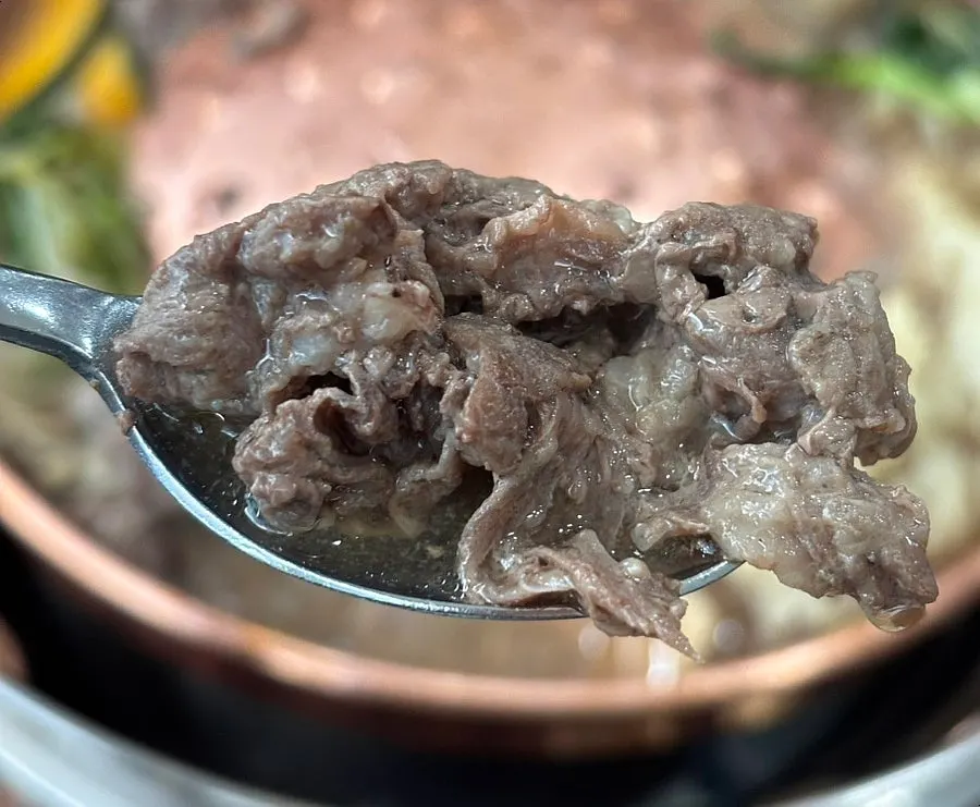 Korean beef bulgogi wrapped with shredded scallions