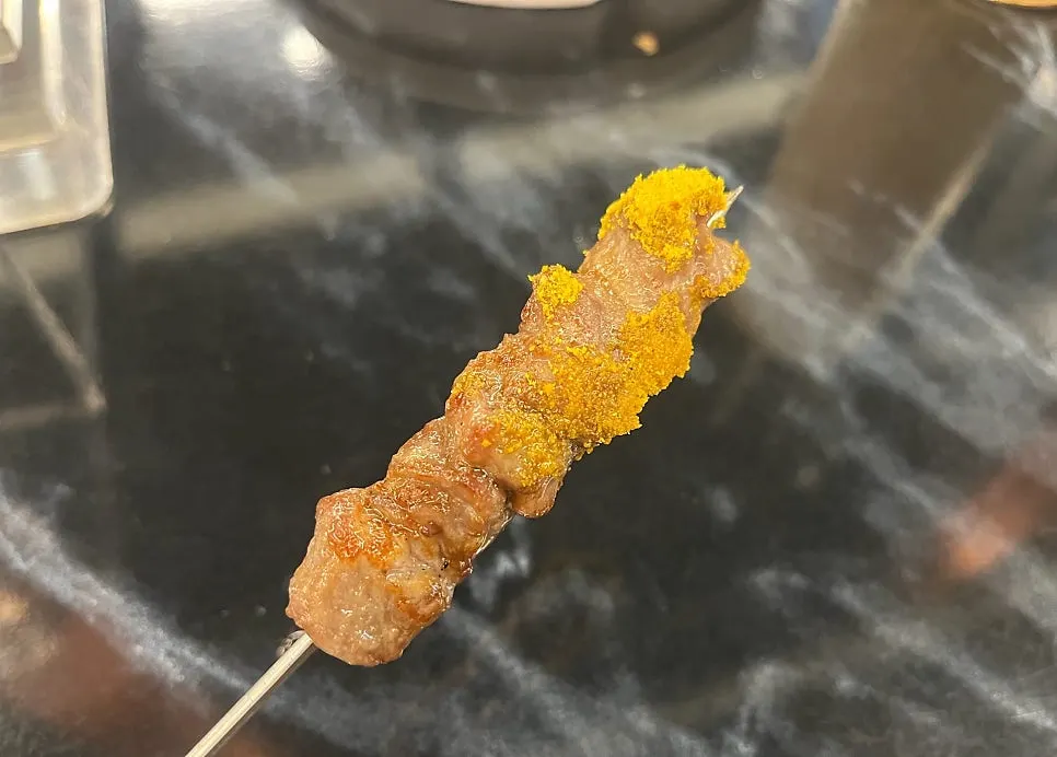 Close-up of a well-grilled lamb skewer
