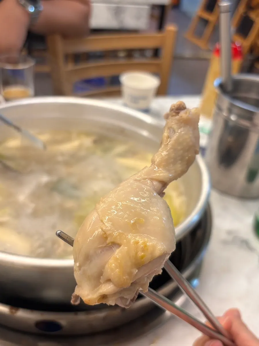 푹 익은 배추와 대파가 담긴 닭한마리