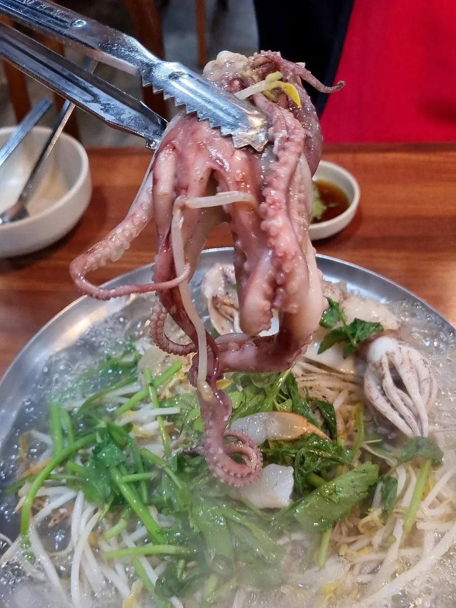 오징어와 조개류가 쌓인 해물칼국수