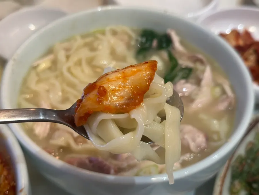 자가제면 칼국수 면발